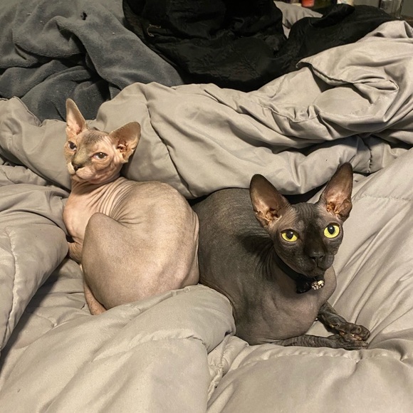 Meet your Posher, Mallory! - Picture 12 of 14